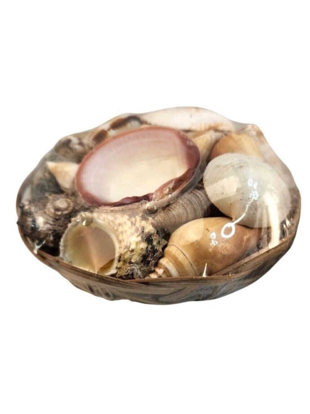 Seashell Basket Set 2 Decorative 5" x 3" - Picture 3 of 9